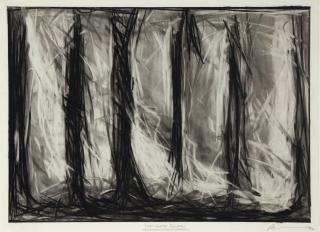 Robert Wilson - The White Raven