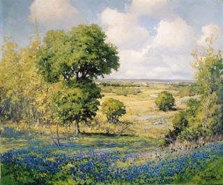 Robert Wood - Spring Bluebonnets in Texas