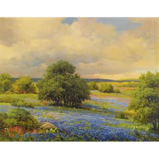 Robert Wood - Texas Blue Bonnets