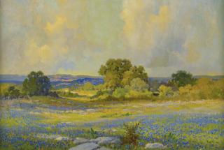 Robert Wood - Texas Bluebonnets