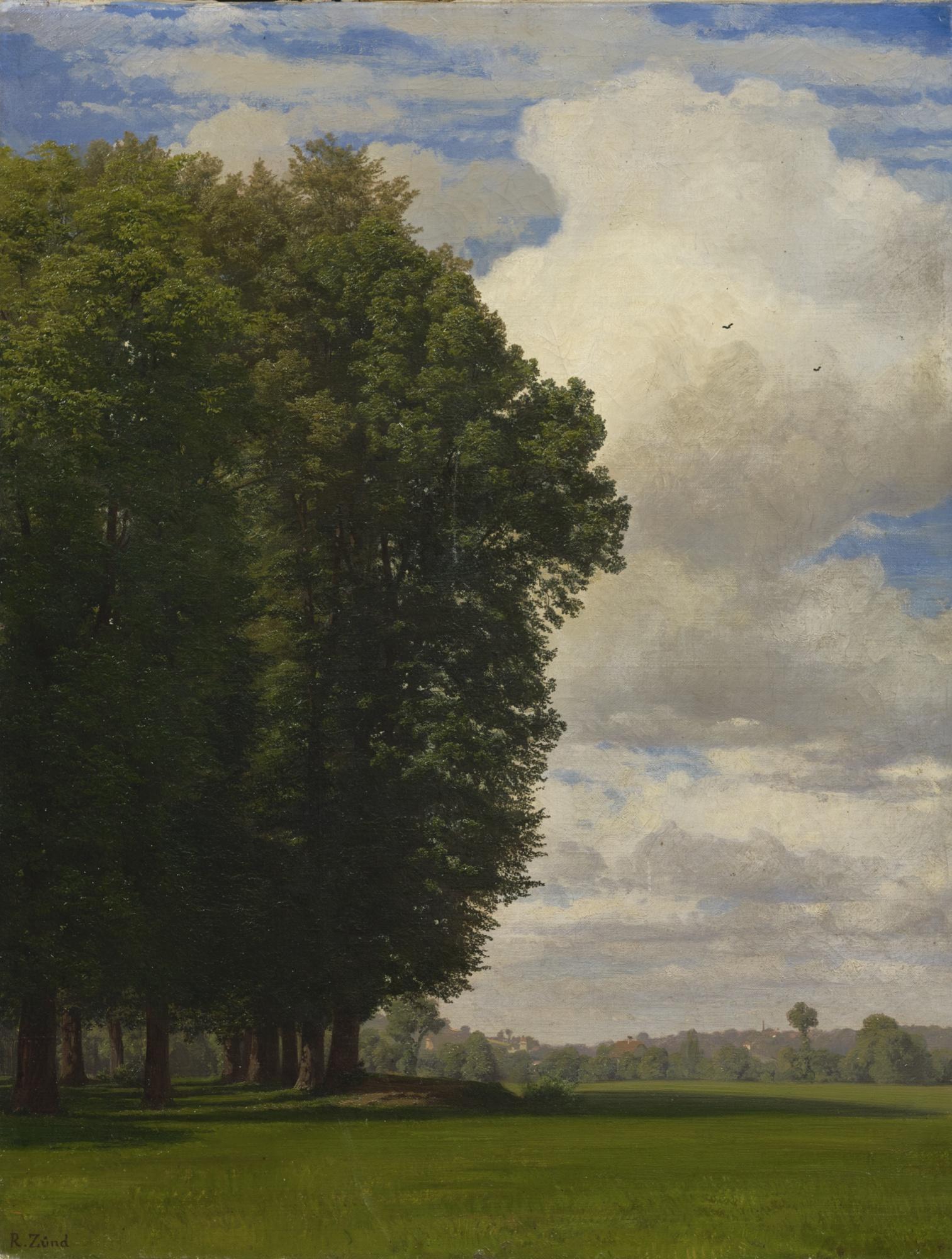 Robert Zünd - Auf Der Schanz Bei Luzern