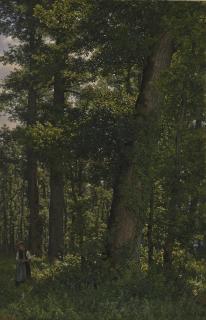 Robert Zünd - Eichwald