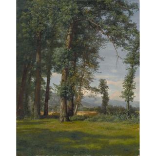 Robert Zünd - Sommerlandschaft (Eichwaldlichtung), 1858 Summer Landscape (Clearance In An Oak Forest), 1858