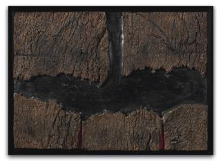 Roberto Crippa - Senza Titolo