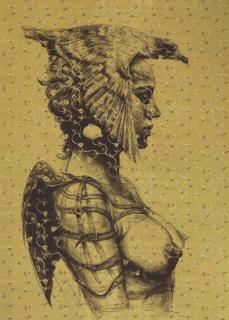 Roberto Fabelo - Gaviota