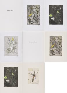 Roberto Matta - Droites Libérées.