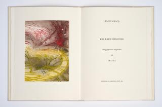 Roberto Matta - Les Eaux Etroites, 1989