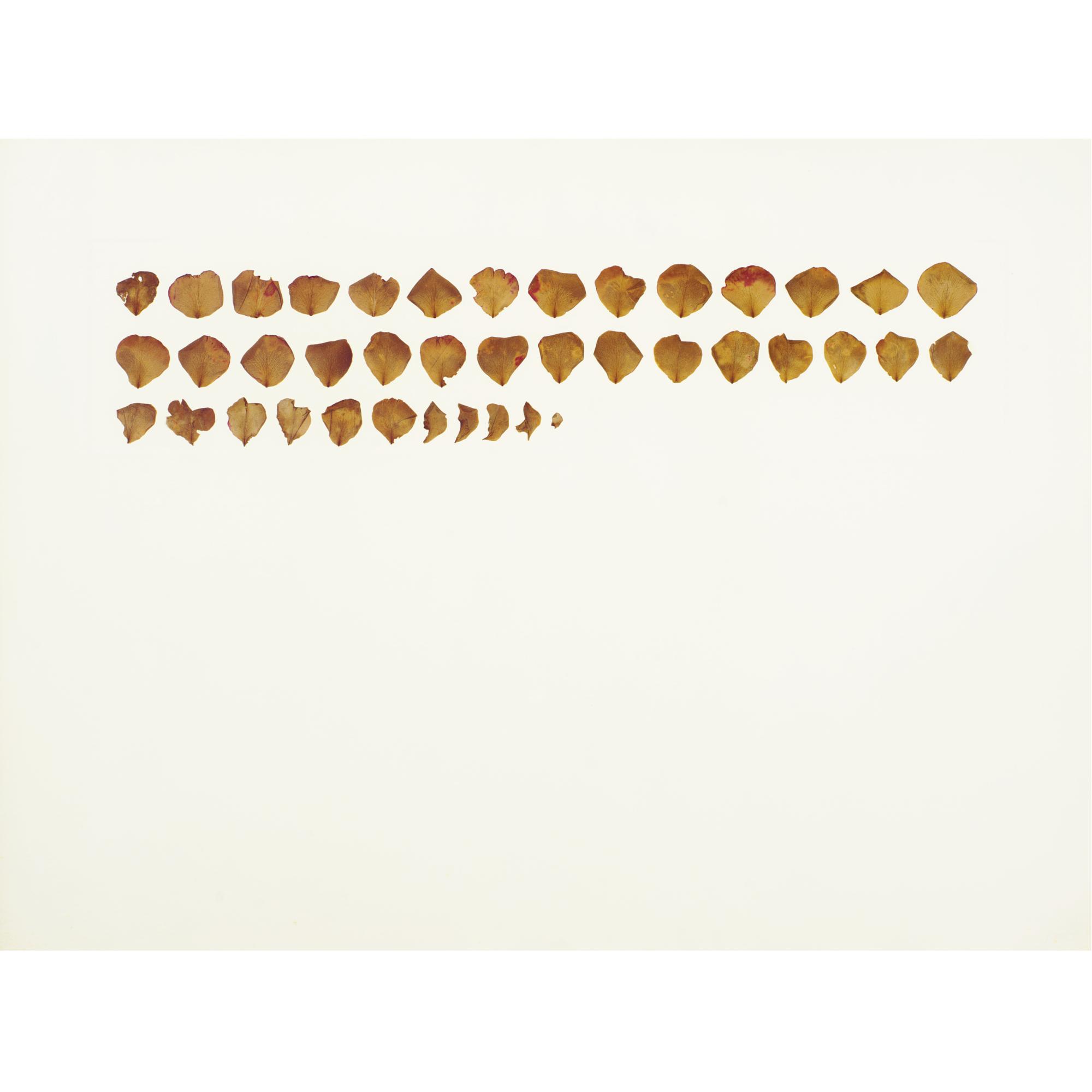 Roberto Obregón - Disecciones Reales No. 7