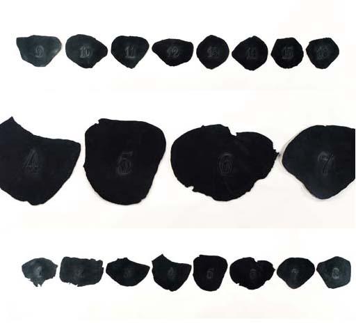 Roberto Obregón - Pétalos (16)