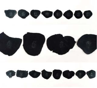 Roberto Obregón - Pétalos (16)