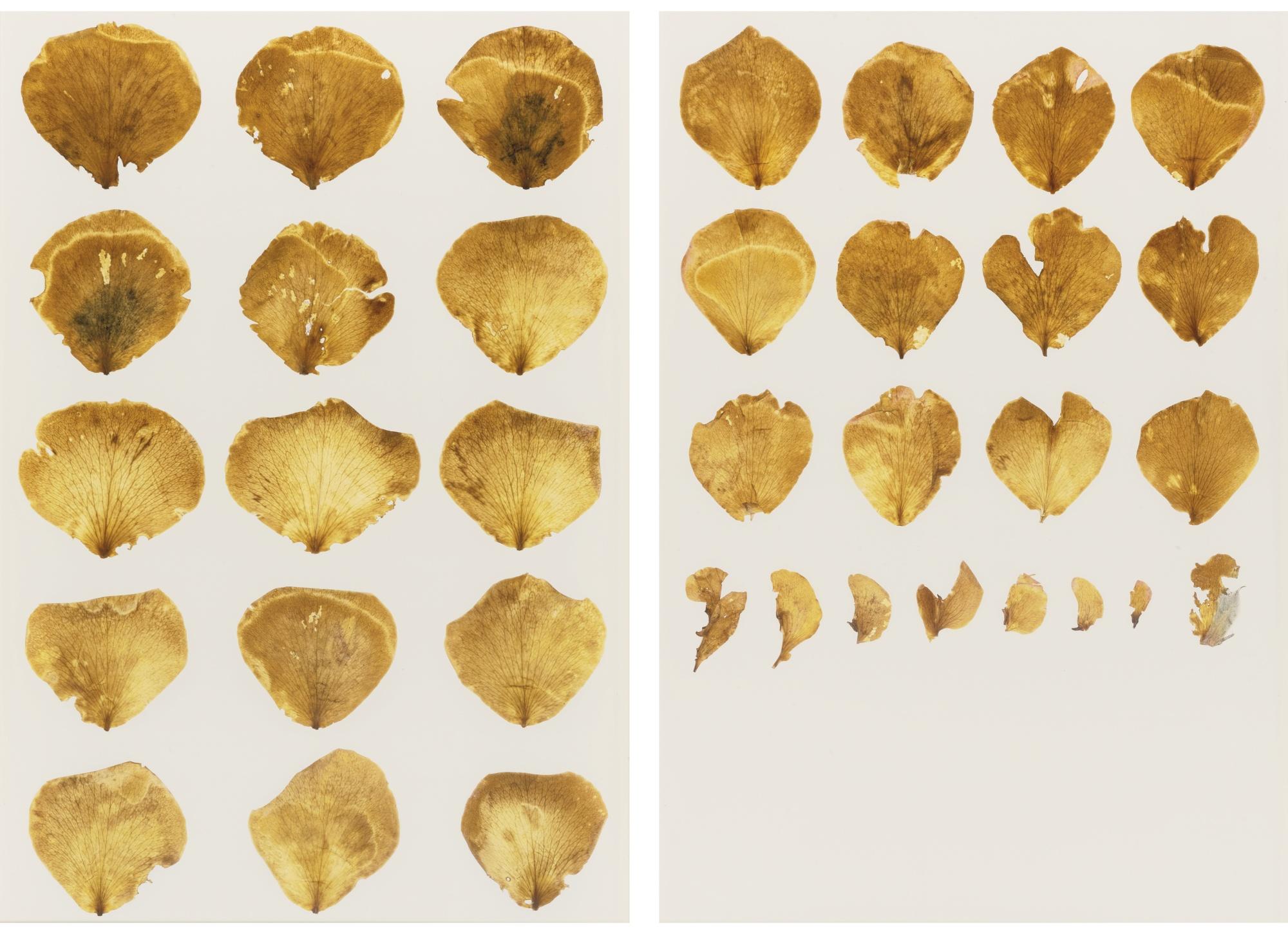 Roberto Obregón - San Valentín (Anita), Dyptich