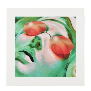 Robin F. Williams - Stop Signs