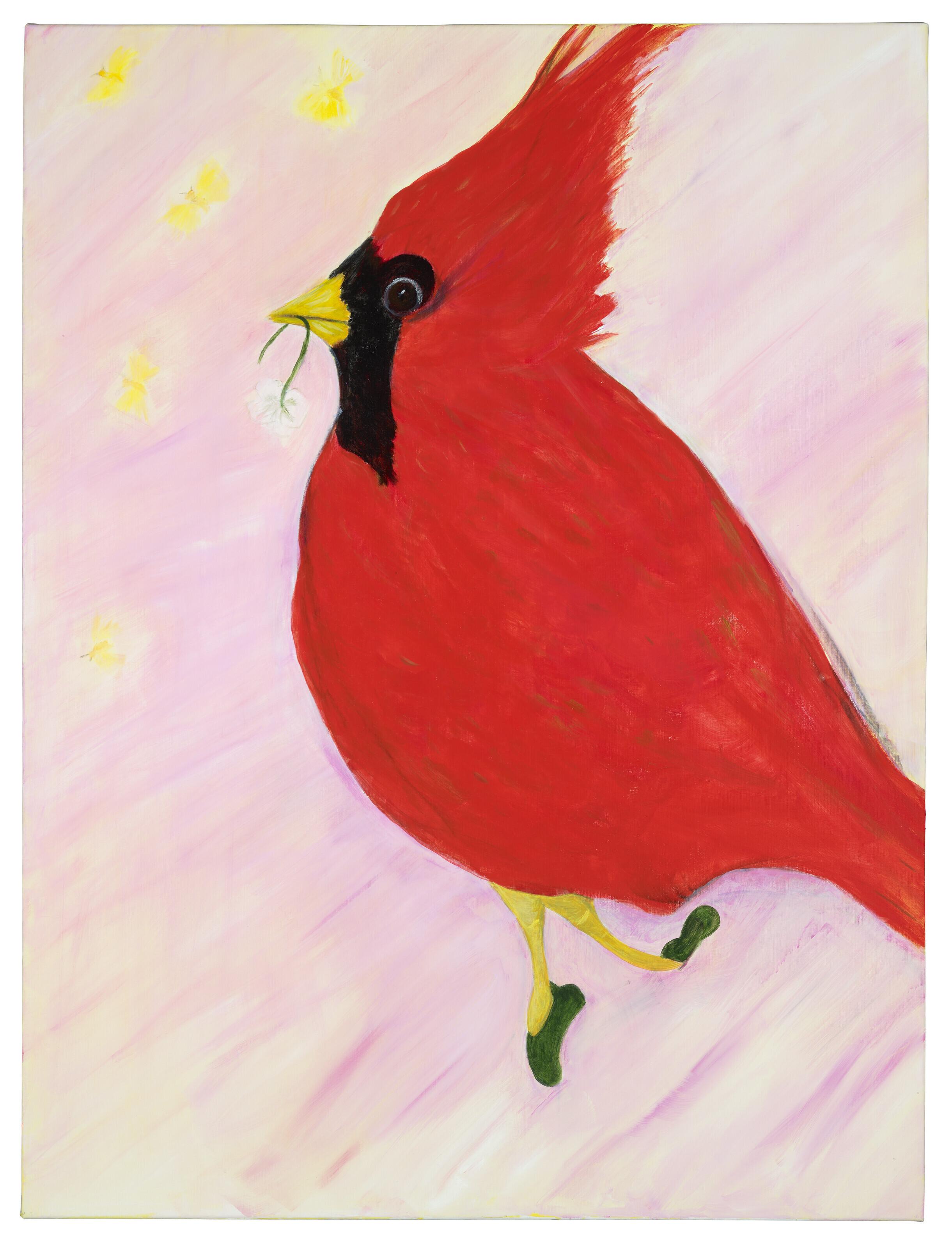 Robin Hambro - A Northern Cardinal