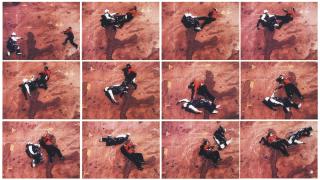 Robin Rhode - Matriks