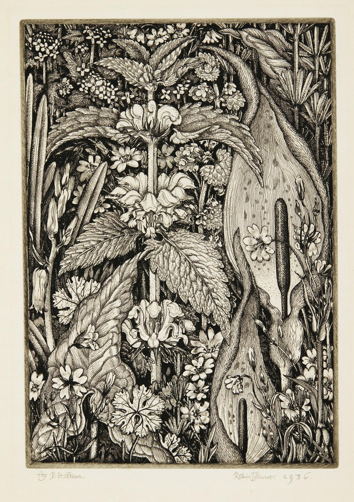 Robin Tanner - Hedge Flowers (Garton & Co. 20)