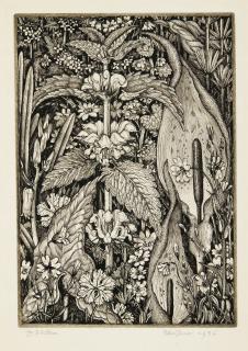 Robin Tanner - Hedge Flowers (Garton & Co. 20)