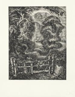 Robin Tanner - The Memorial Portfolio