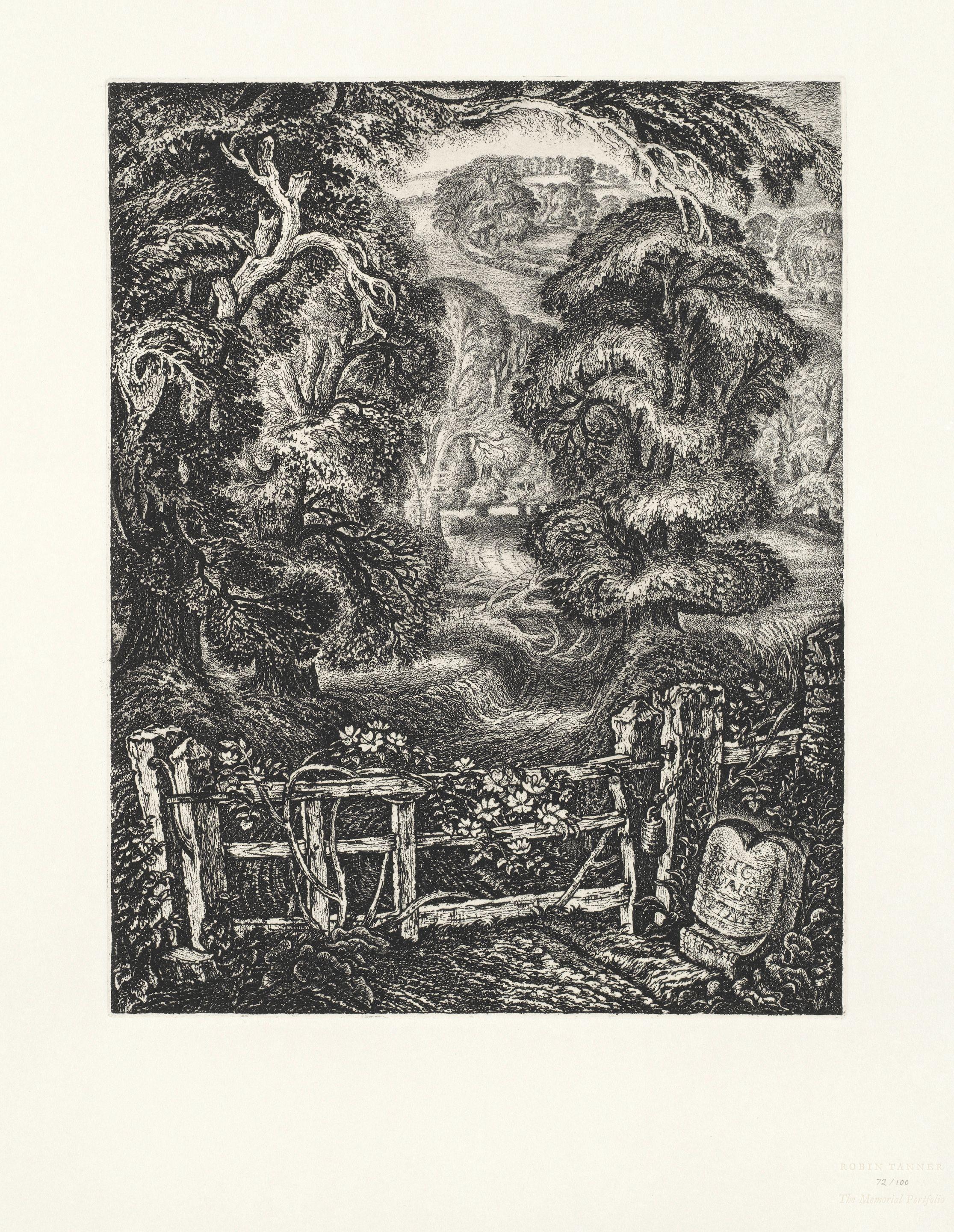 Robin Tanner - The Memorial Portfolio