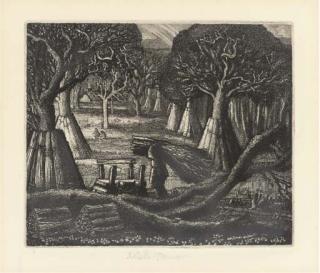 Robin Tanner - Wiltshire woodman (Garton 12)