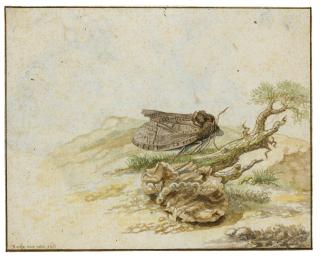 Rochus van Veen - Recto: A Moth On A Branch; Verso: A Seated Family Group, With A Woman Preparing Food, And Separate Studies Of Hands And A Bunch Of Grapes 