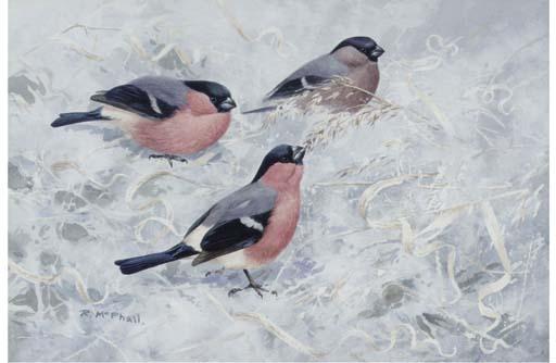 Rodger McPhail - Bullfinches