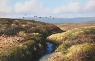 Rodger Mcphail - Grouse in Flight