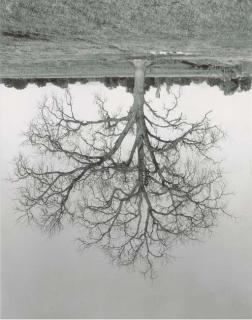 Rodney Graham - Untitled, 1993