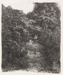 Rodolphe Bresdin - Le gave (VG 153)