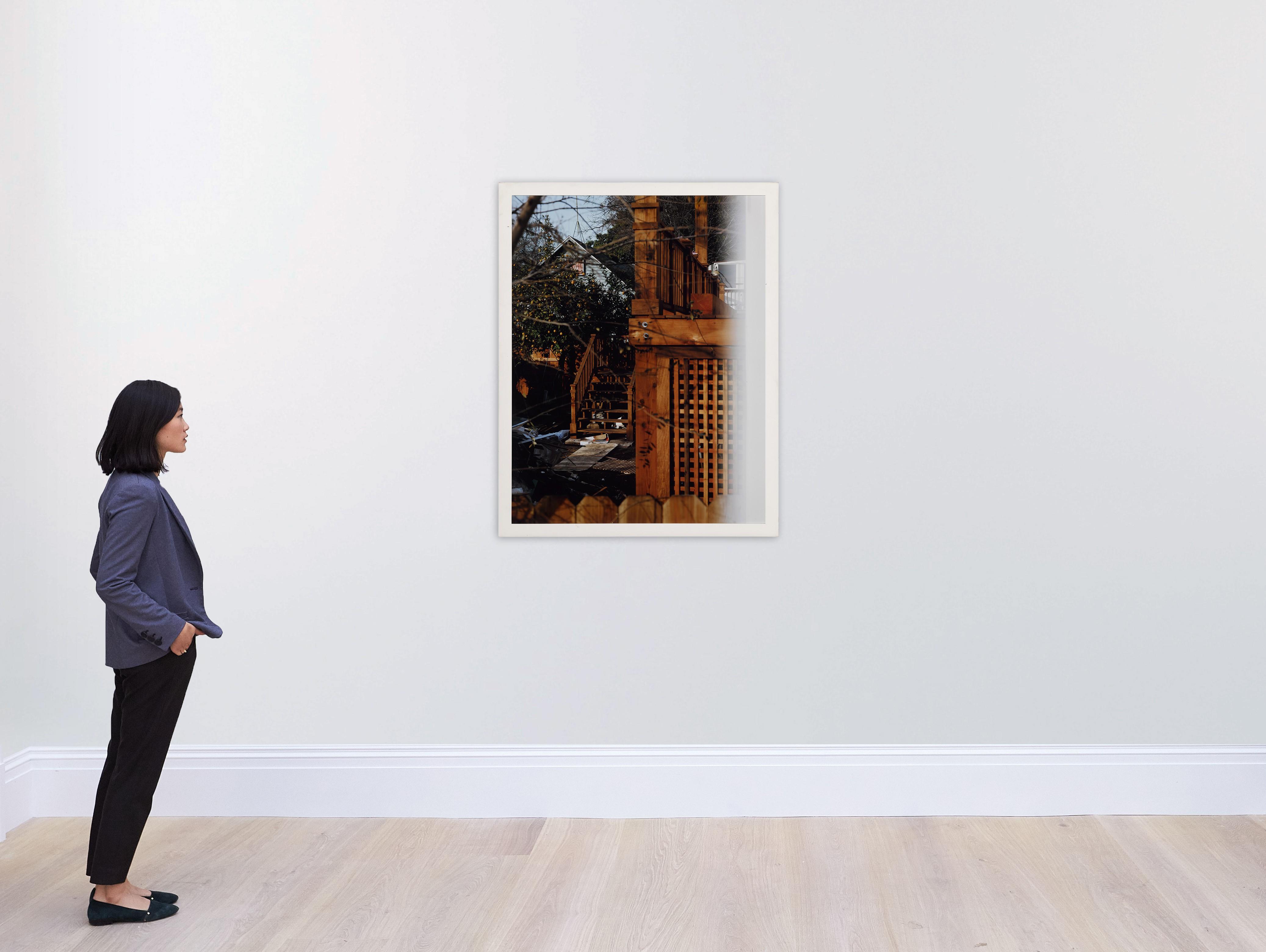 Roe  Ethridge - \'LA Backyard\'