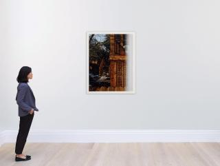 Roe  Ethridge - \'LA Backyard\'