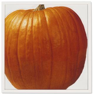 Roe Ethridge - Pumpkin Sticker