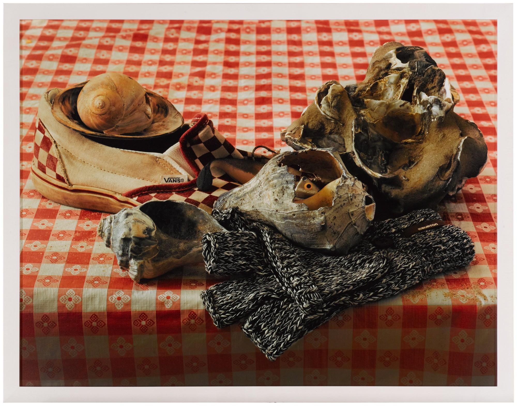 Roe Ethridge - Still Life