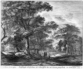 Roelant Roghman - Folge von 6 Bll.: Ansichten aus den Wäldern von Den Haag.