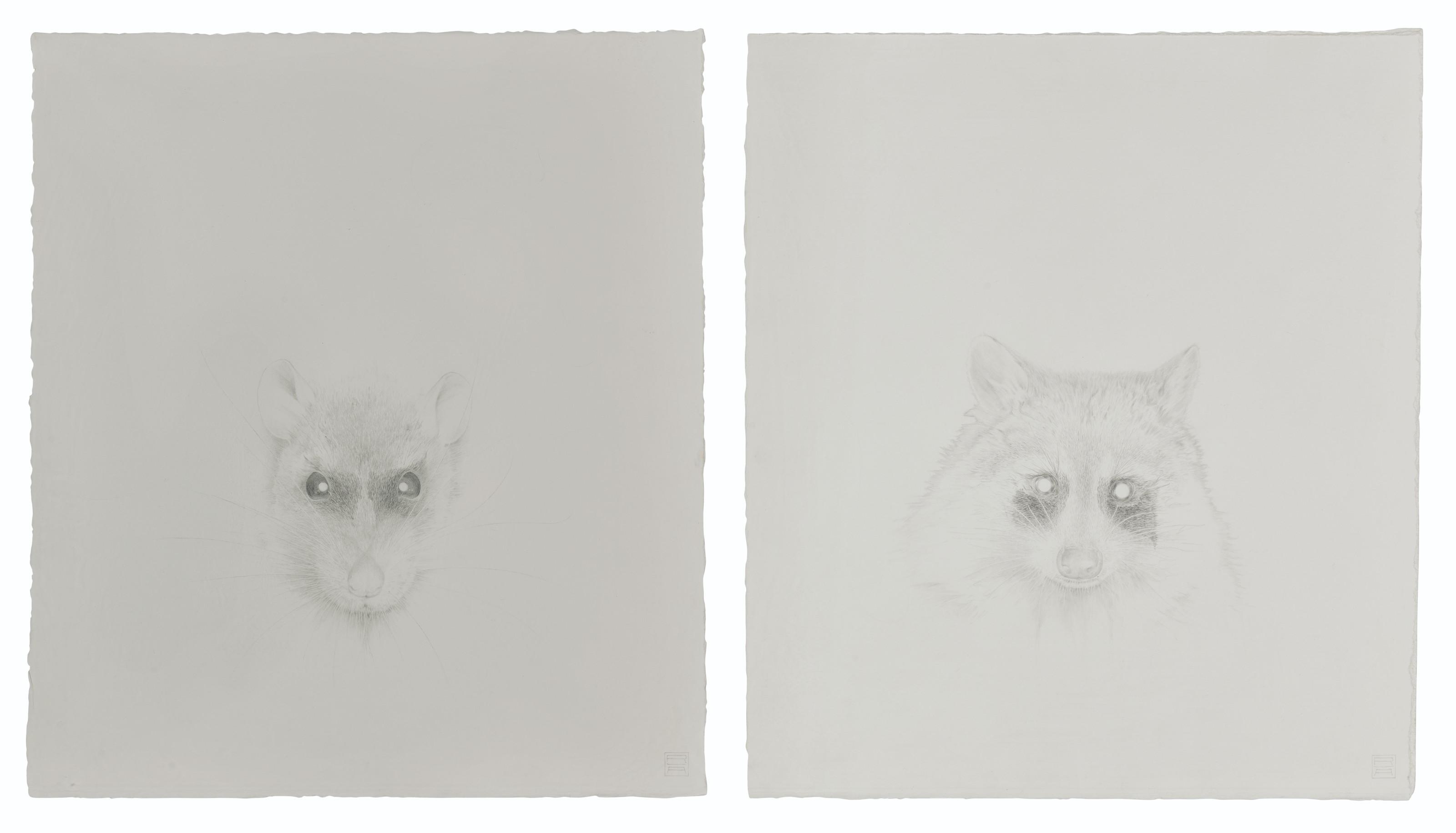 Roger Andersson - (I) On The Wrong Side Of Highway (Rat)  (Ii) On The Wrong Side Of Highway (Racoon)