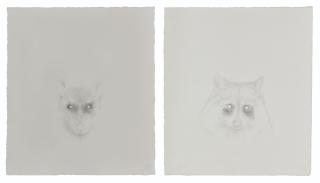 Roger Andersson - (I) On The Wrong Side Of Highway (Rat)  (Ii) On The Wrong Side Of Highway (Racoon)