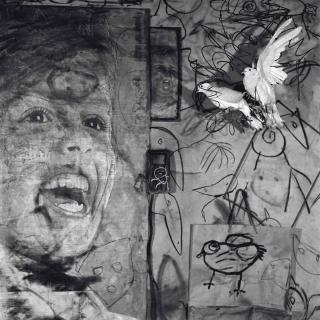 Roger Ballen - Banner