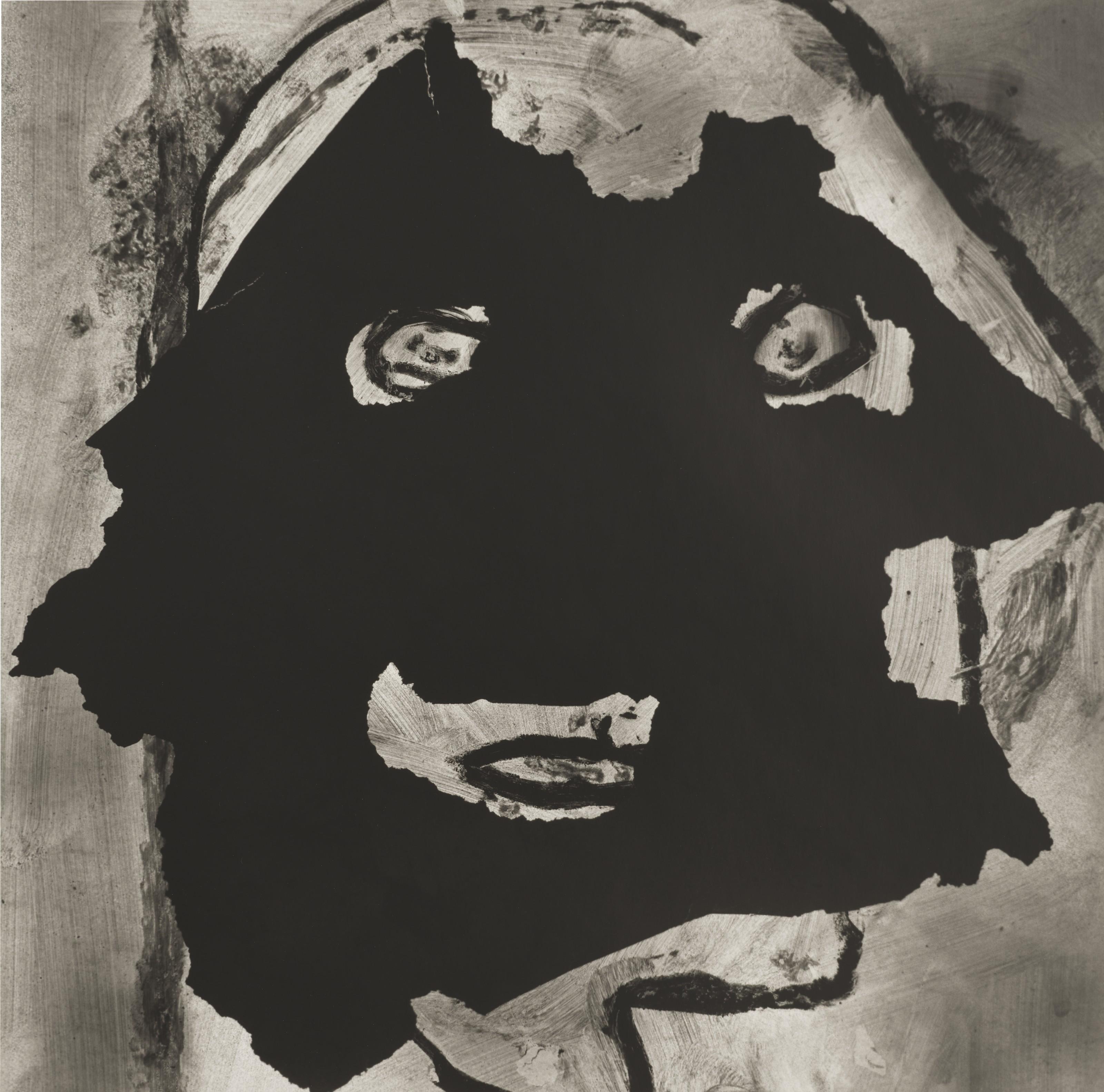 Roger Ballen - Effigy, 2007