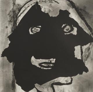 Roger Ballen - Effigy, 2007