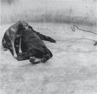 Roger Ballen - Guardian, 2001