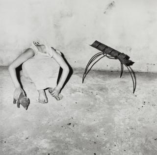 Roger Ballen - Head Inside Shirt