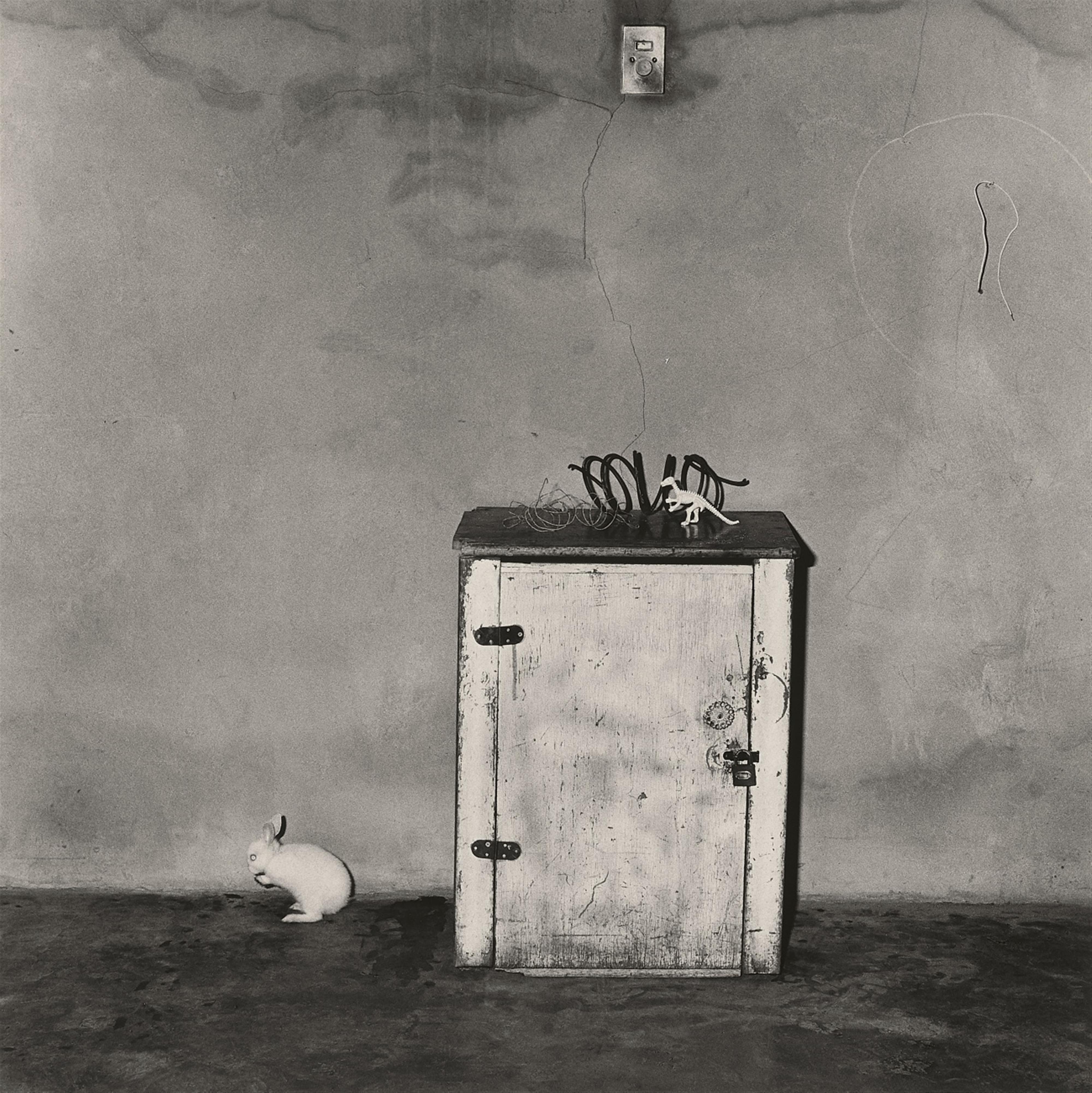 Roger Ballen - Little loose Rabbit