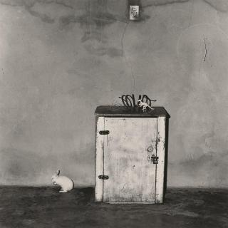Roger Ballen - Little loose Rabbit