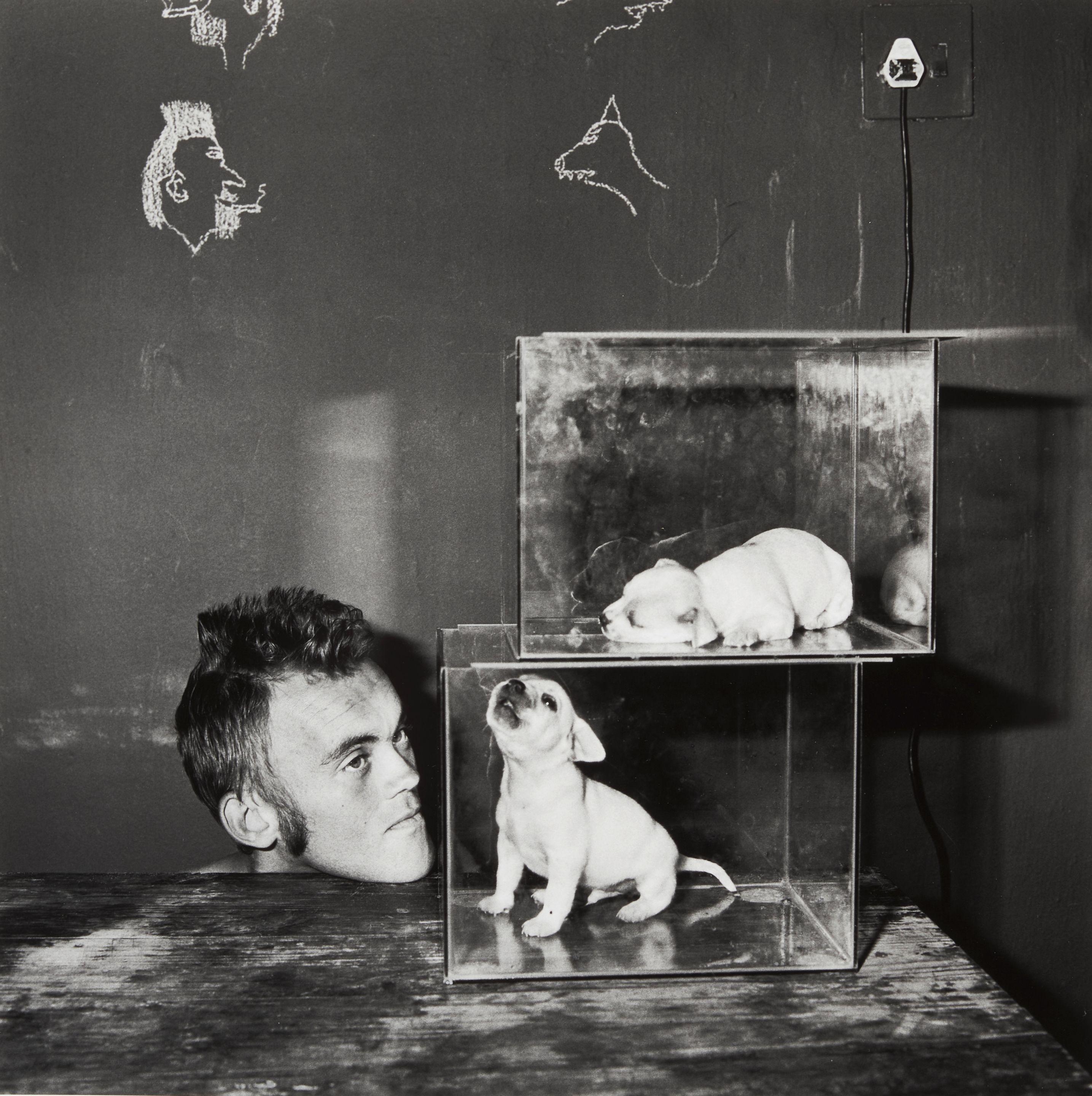 Roger Ballen - Puppies in Fishtank