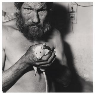 Roger Ballen - Rat Man