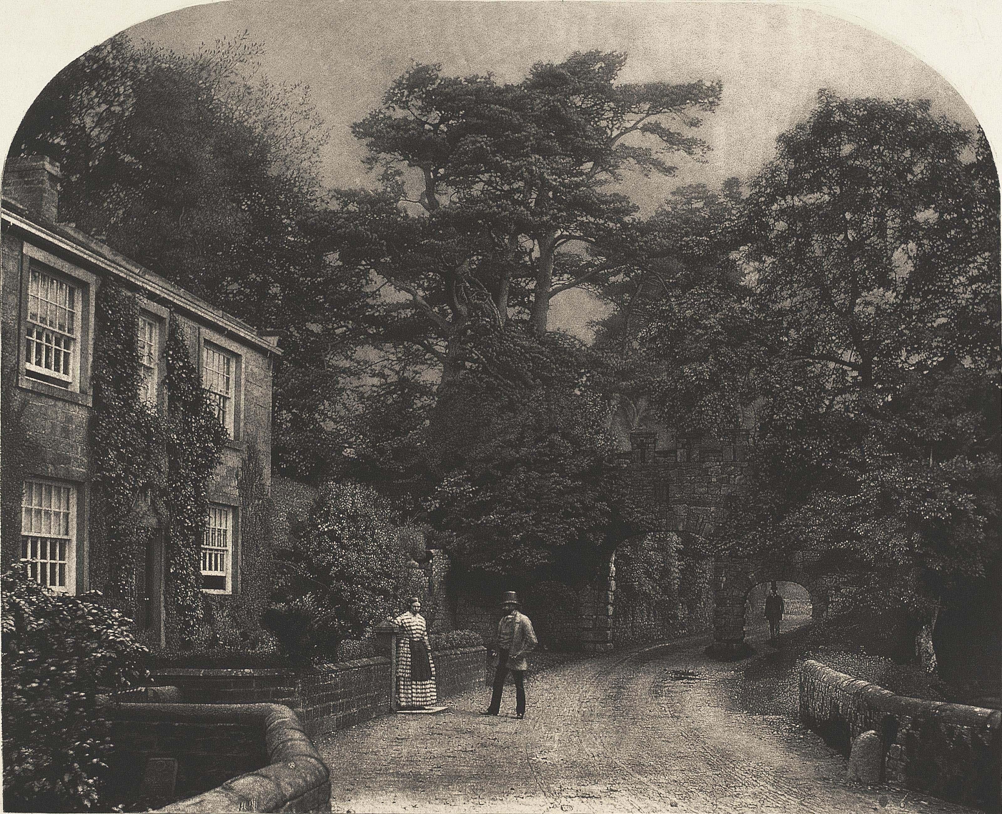 Roger Fenton - Into the Woods at Bolton Abbey, 1856-1860