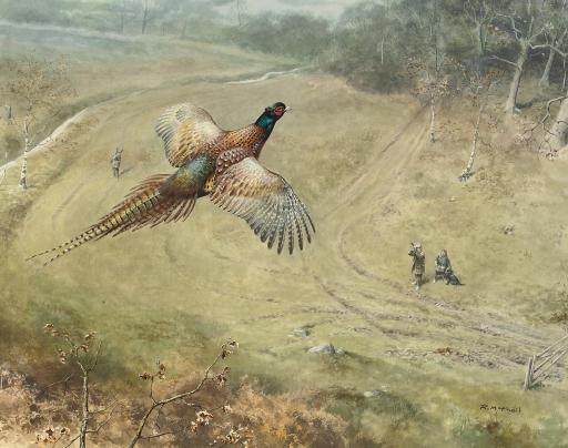 Roger McPhail - Over the guns