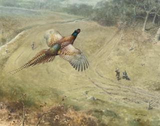 Roger McPhail - Over the guns