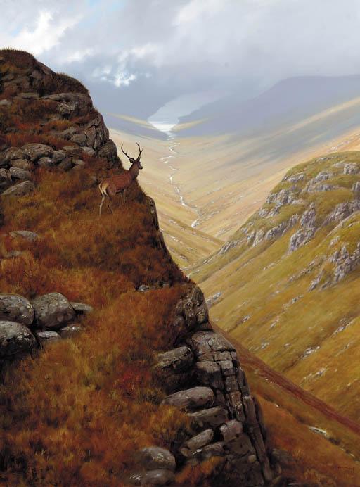 Roger Mcphail - Stag, Glen Figment