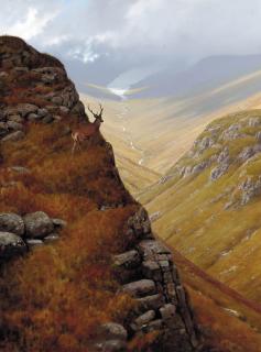 Roger Mcphail - Stag, Glen Figment