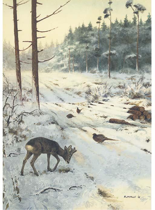 Roger Mcphail - Winter Morning